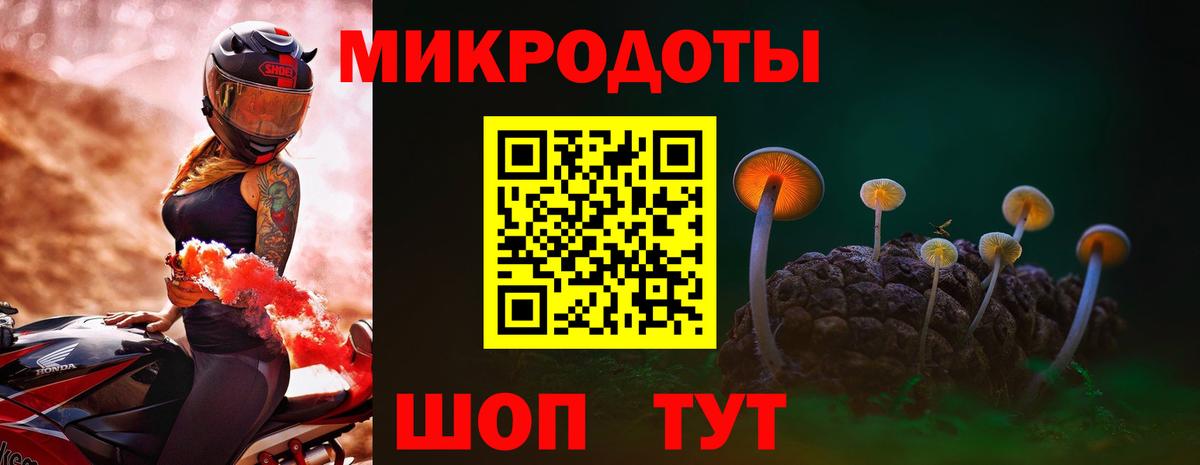Соликамск  Галлюциногенные грибы Cubensis  Вход с VPN 