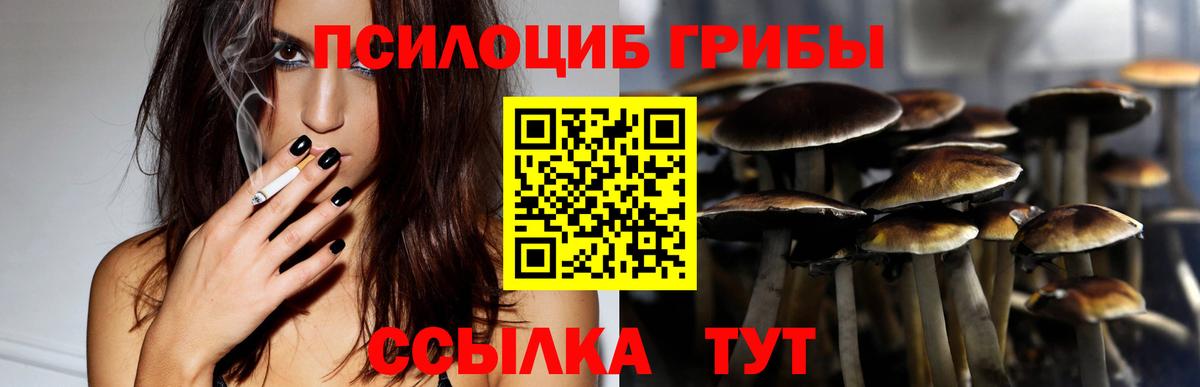 Псилоцибиновые грибы GOLDEN TEACHER Соликамск